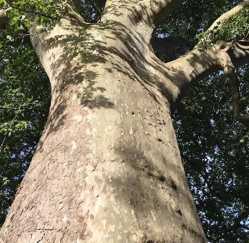 La Mouline Dom wakacyjny