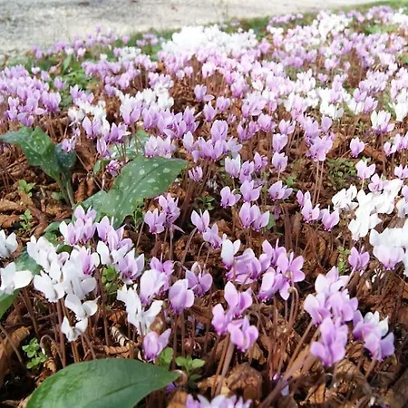 La Mouline Holiday home