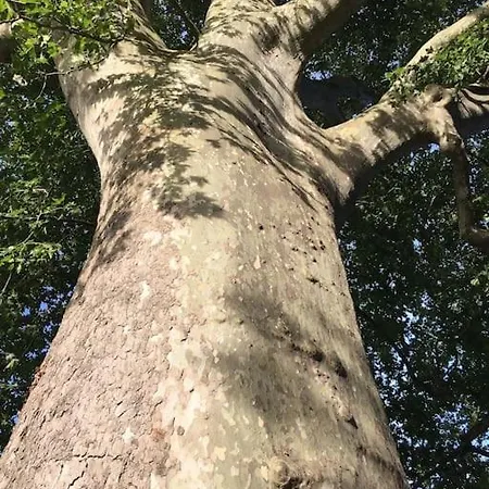 La Mouline Holiday home