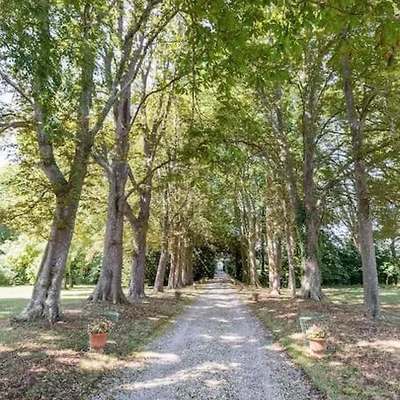 La Mouline Auterive (Haute-Garonne)